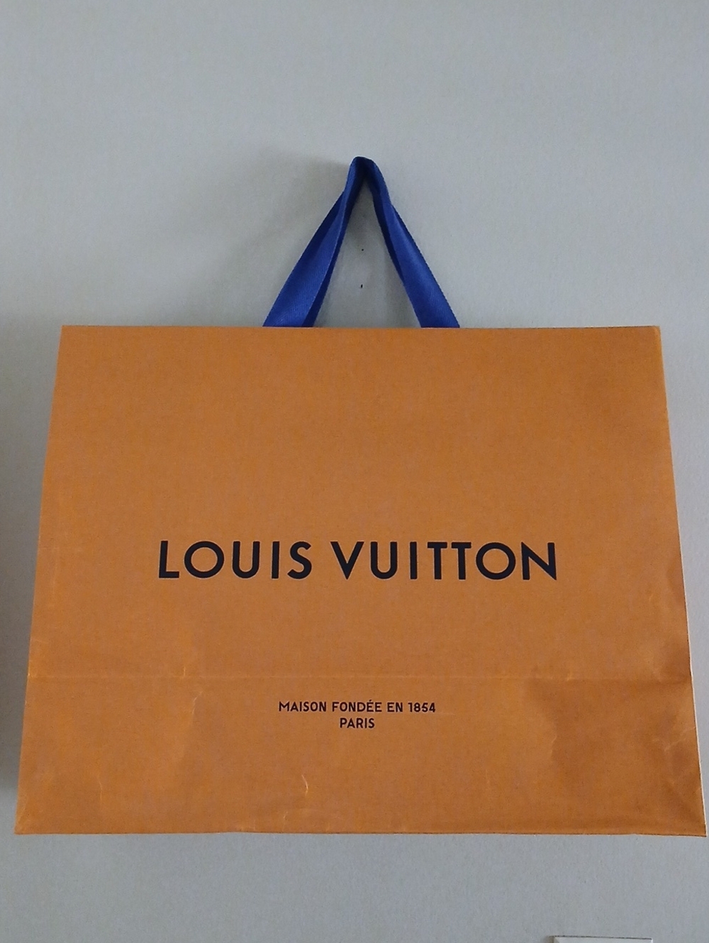 LOUIS VUITTON Large shopping Bag